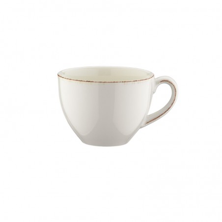 TAZA CAPUCCINO 250cc RETRO  E100RIT04CPF 6/1