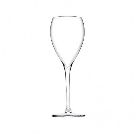 COPA CHAMPAGNE 7.5 oz VENETO  440357 24/1