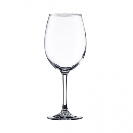 COPA VINO 58cl -19.5oz ENOLOGIA  V071741 6/1