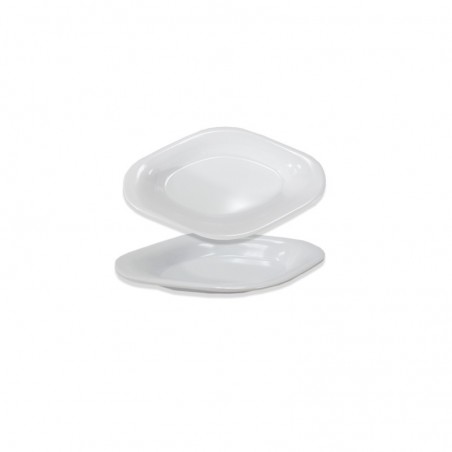 PLATO BOTANERO MEL. 6.5  BOSTON MINI GASTRO  AR176 20/1