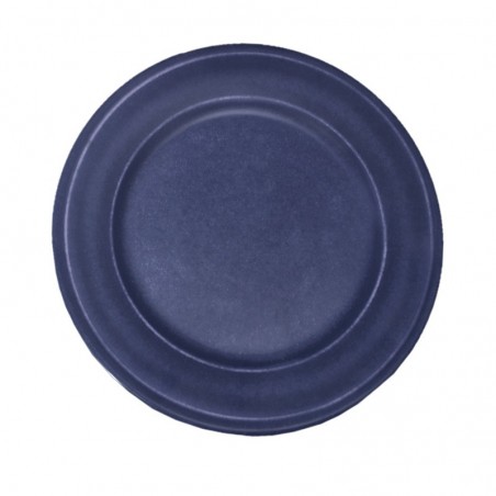PLATO LLANO AZUL 27cm BOSTON FADED  100625 24/1