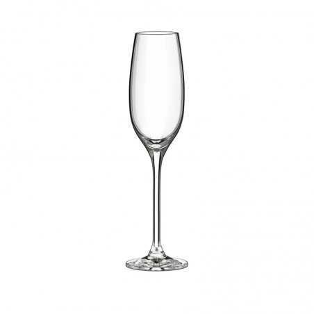 COPA CHAMPAGNE 5oz. EDITION   6050/700 24/1